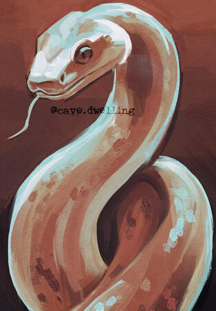 snake RGBA snake RGBA
