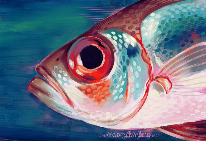 fish RGBA